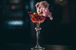 Online Cocktailkurs mit Mario Hofferer (ca. 2,5 Std.)