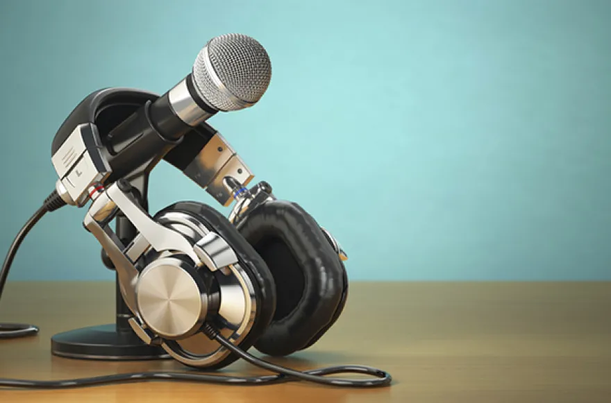 Online-Seminar Gesangsstunde (45 Minuten)