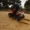 On- & Offroad- Kleine Abenteuer Quadtour Weißwasser