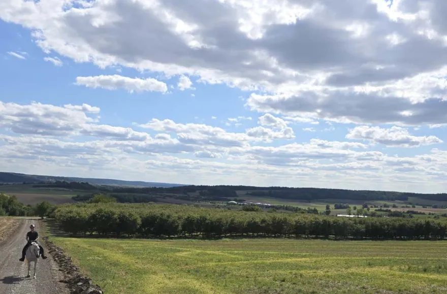 Outdoor Escape Game Langenfeld