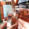 Outdoor Escape Gruppe - Anfänger "In Vino Veritas" Weil am Rhein