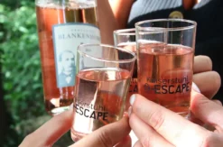 Outdoor Escape Gruppe - Anfänger "In Vino Veritas" Weil am Rhein