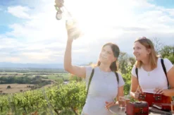 Outdoor Escape Gruppe - Anfänger "In Vino Veritas" Sternenfels