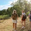 Outdoor Escape Gruppe - Anfänger "In Vino Veritas" Meersburg