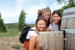Outdoor Escape Gruppe - Anfänger "In Vino Veritas" Zeil a. Main