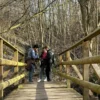 Outdoor Escape Gruppe - Fortgeschritten "Fluch des Sonnenkönigs" Sternenfels