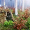 Outdoor Survival Camp Hannover