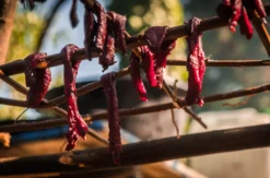 Outdoor Survival Kurs - Vertiefung