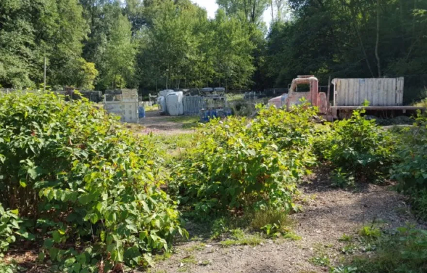 Paintball Ennepetal