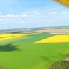 Panorama-Rundflug Sächsische Schweiz & Dresden ab Reinsdorf