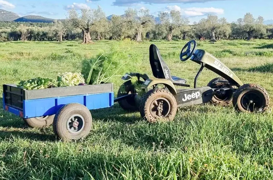 Pedal Gokart Hamburg