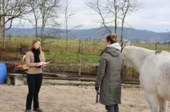 Pferdegestütztes Coaching Ammerbuch