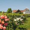 Picknick Bad Waltersdorf