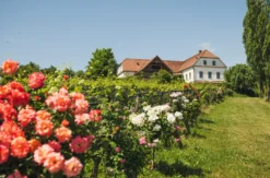 Picknick Bad Waltersdorf