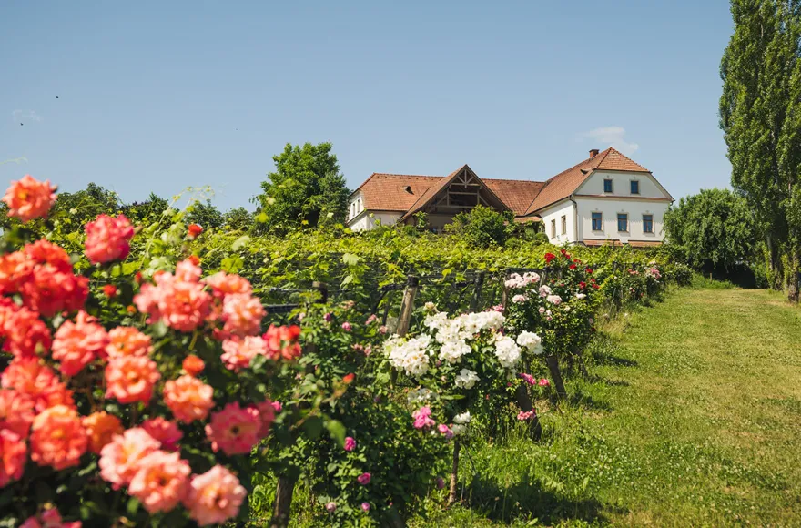 Picknick Bad Waltersdorf