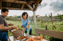 Picknick Bad Waltersdorf