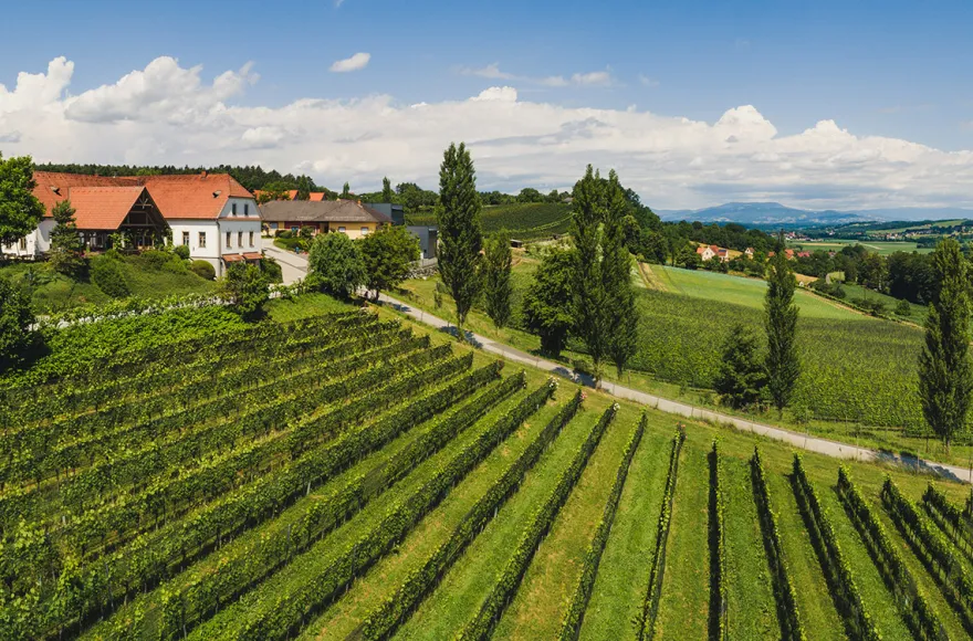Picknick Bad Waltersdorf