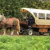 Planwagenfahrt Langenfeld für 2