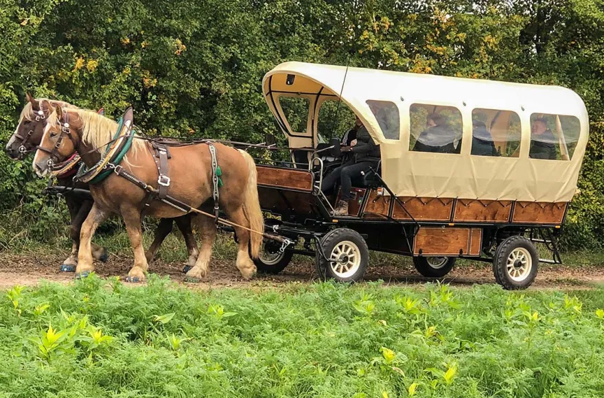 Planwagenfahrt Langenfeld für 2