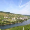 Planwagenfahrt mit Weinprobe Reil