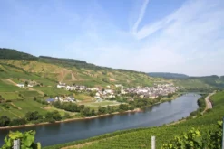 Planwagenfahrt mit Weinprobe Reil