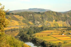 Planwagenfahrt mit Weinprobe Reil