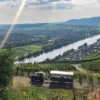 Planwagenfahrt mit Weinprobe Lieser