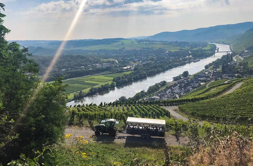 Planwagenfahrt mit Weinprobe Lieser
