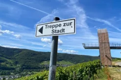 Planwagenfahrt mit Weinprobe Lieser