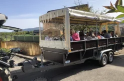 Planwagenfahrt mit Weinprobe Lieser