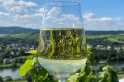 Planwagenfahrt mit Weinprobe Lieser