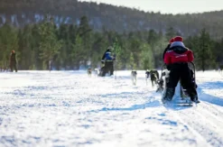 Polarlichterfahrt am See in Inari für 2 (5 Nächte)