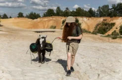 Pony Spaziergang