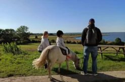 Pony Spaziergang