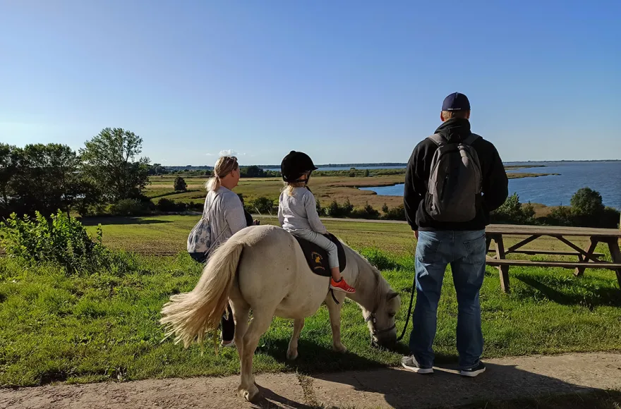 Pony Spaziergang