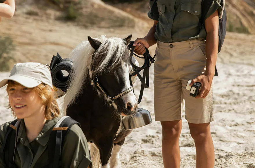Pony Spaziergang für 2