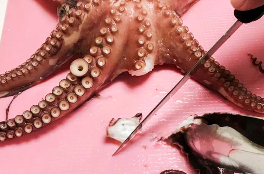 Portugiesisch Kochkurs Münster