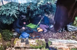 Premium Wildnis Kochkurs Zwingen