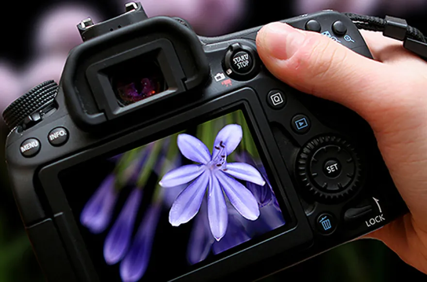 Privater Fotokurs online
