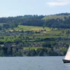 Privater Segel-Anfängerkurs für 1 - 3 Personen