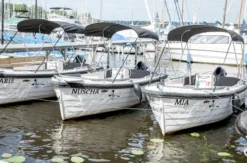 15 ps Motorboot mieten Berlin