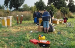 Pyrotechnik Workshop Edemissen