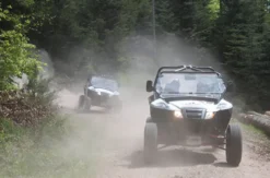 Quad Side by Side Einsteigertour im Schwarzwald