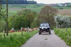 Quad Side by Side Einsteigertour im Schwarzwald