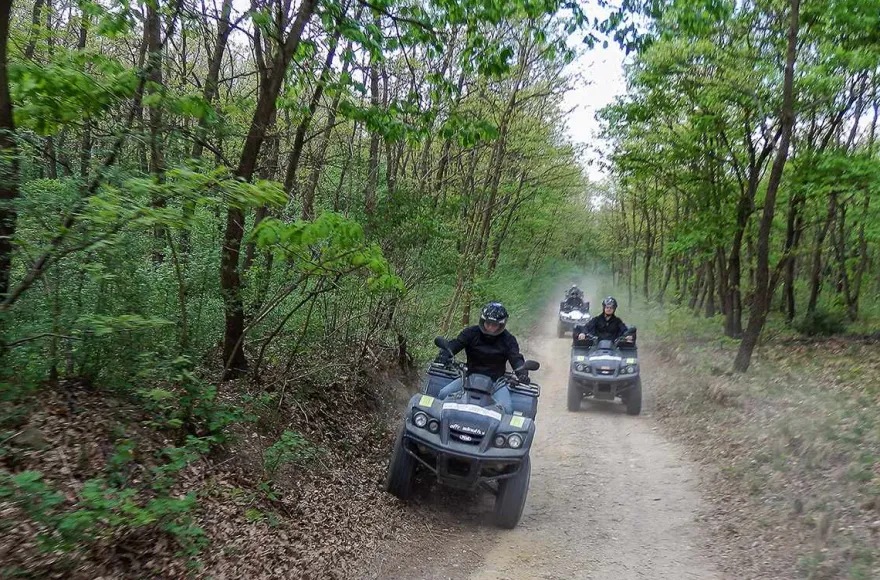 Quad Tour Siegendorf (2,5 Std.)