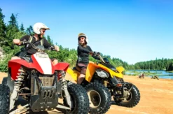 Quad Wahlgutschein
