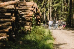 Quizwanderung Überwald Grasellenbach
