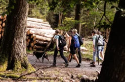 Quizwanderung Überwald Grasellenbach