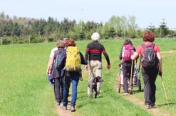 Quizwanderung Überwald Grasellenbach