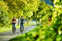 Radtour mit Schiff Bernkastel-Kues